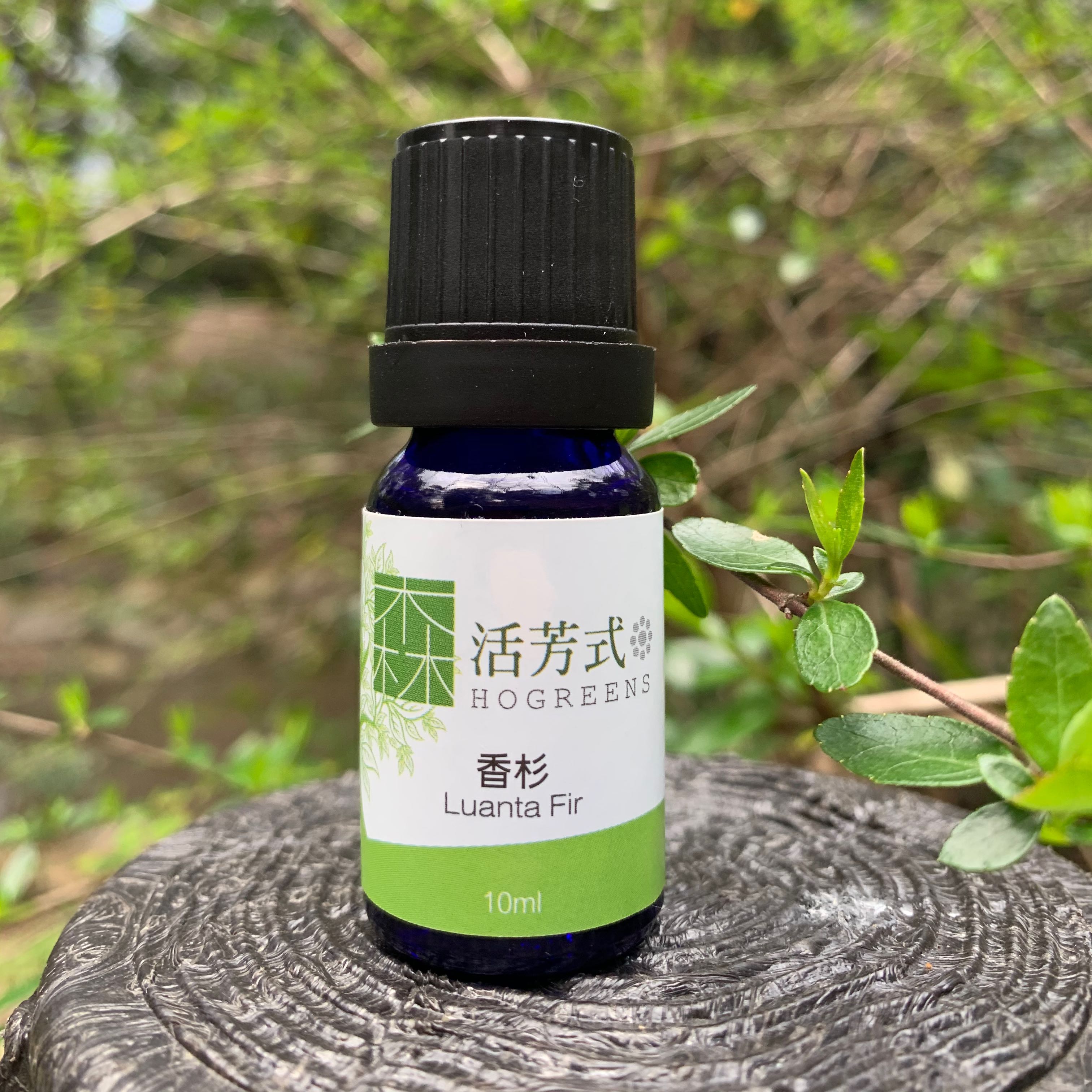 香杉精油 LUANTA FIR