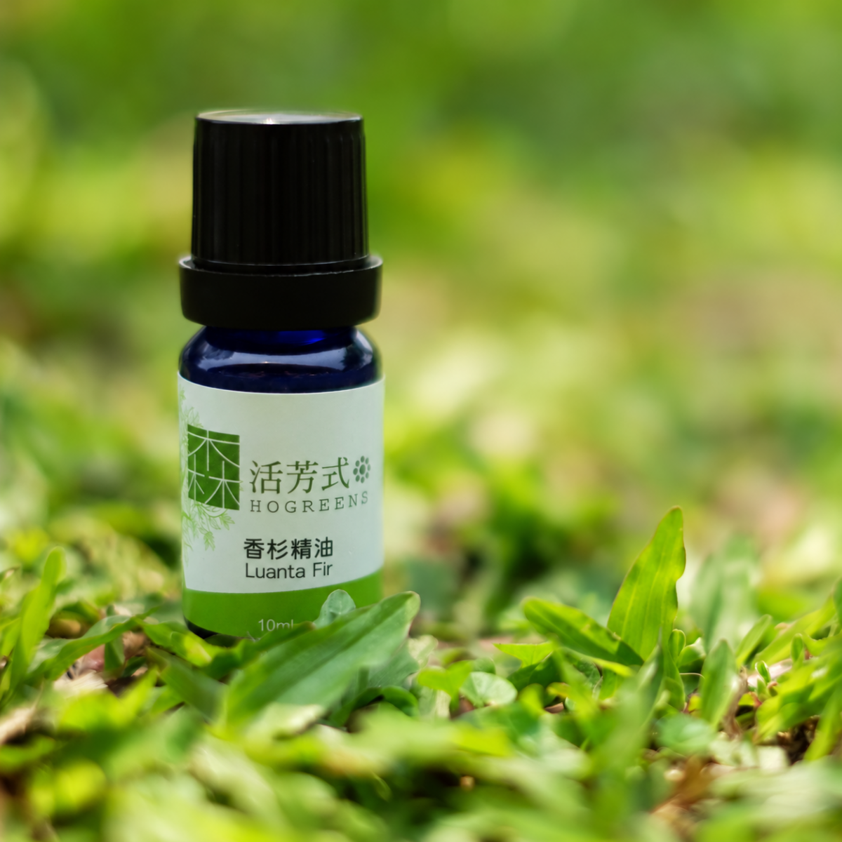 香杉精油 LUANTA FIR