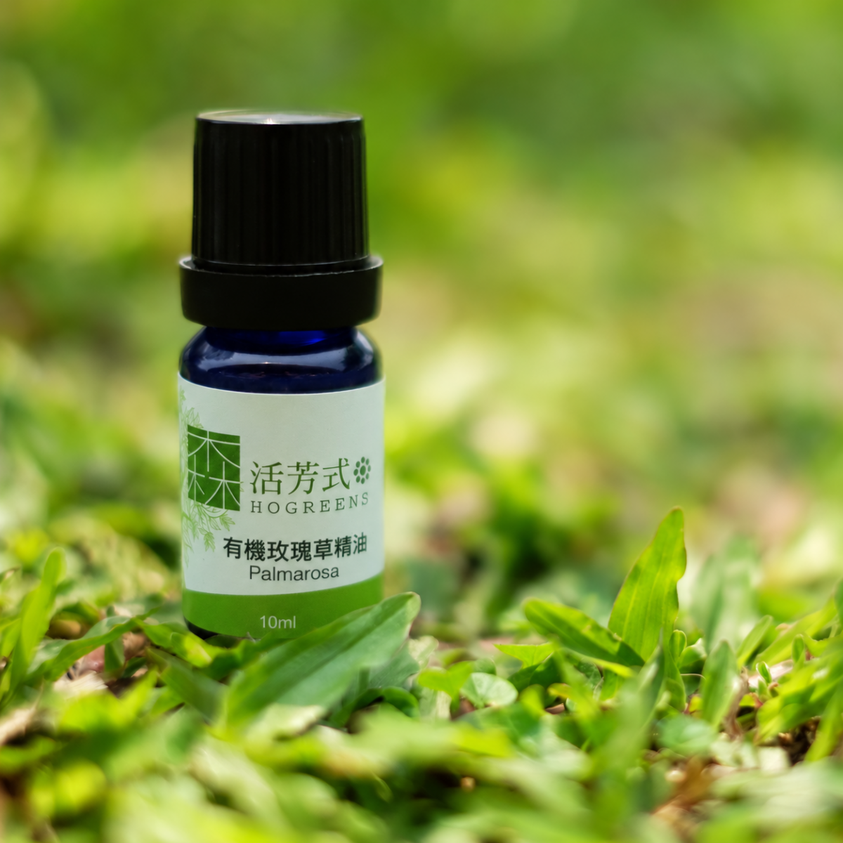 有機玫瑰草精油